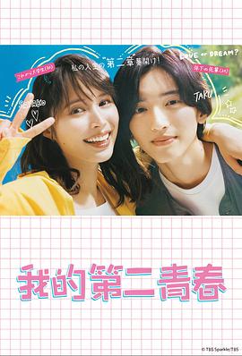 个人的微剧本海报剧照