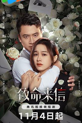 国产开头海报剧照